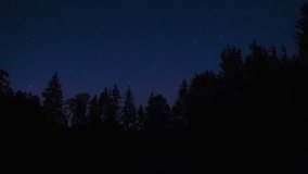 Night sky over forest. 4k time lapse with stars. - Powered by Shutterstock - Get 15% off with code: PIKWIZARD15