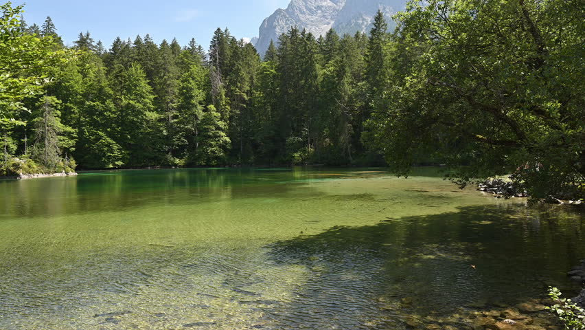 Bavarian Lake Full of Trouts