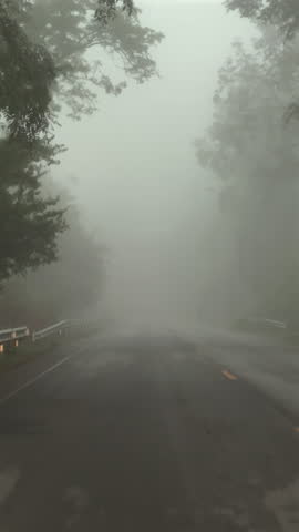 Misty forest road with dense fog, atmospheric and mysterious journey through nature. Tranquil and serene travel