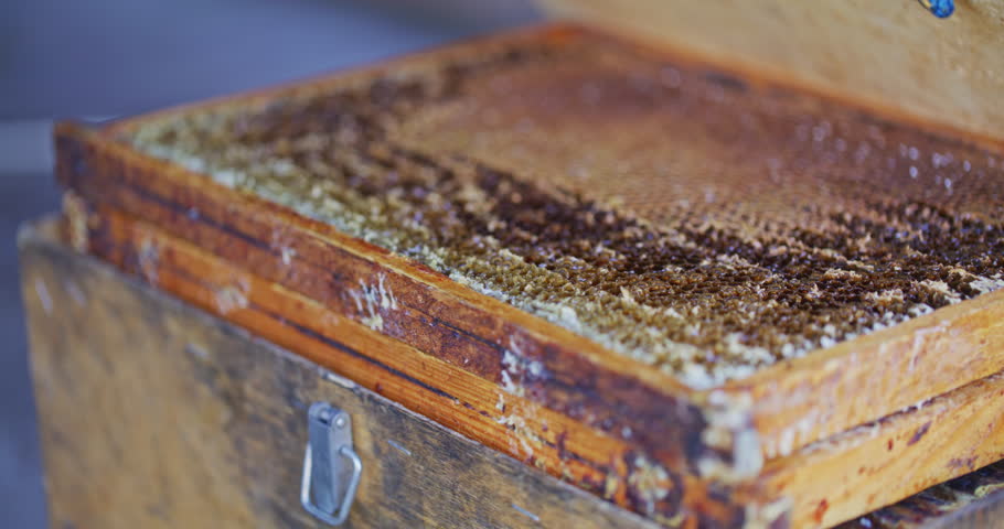 Close-up of frames with honeycombs prepared to be placed in the hive in the apiary