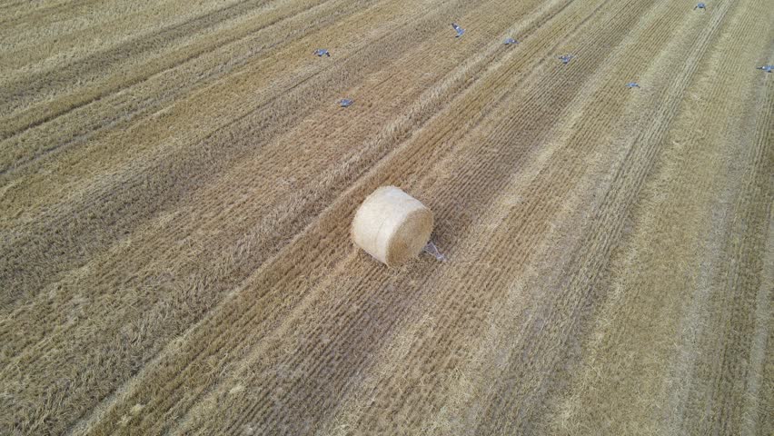 Aerial view of a hay bale in the farm field 