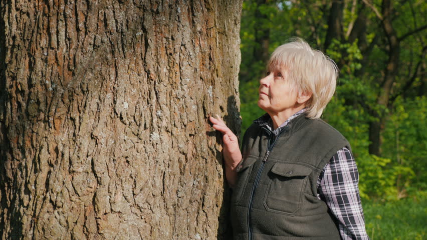 A portrait depicts an elderly woman leaning against the trunk of a large tree during a walk in the woods.
