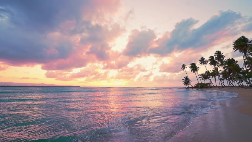 Summer sunset on a wild palm beach. Island in the Atlantic Ocean. Waves on the sand of the seashore. Natural tropical landscape with palm beach. Summer evening on a sea island beach. Twilight.