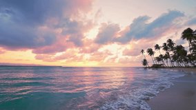 Summer sunset on a wild palm beach. Island in the Atlantic Ocean. Waves on the sand of the seashore. Natural tropical landscape with palm beach. Summer evening on a sea island beach. Twilight. - Powered by Shutterstock - Get 15% off with code: PIKWIZARD15