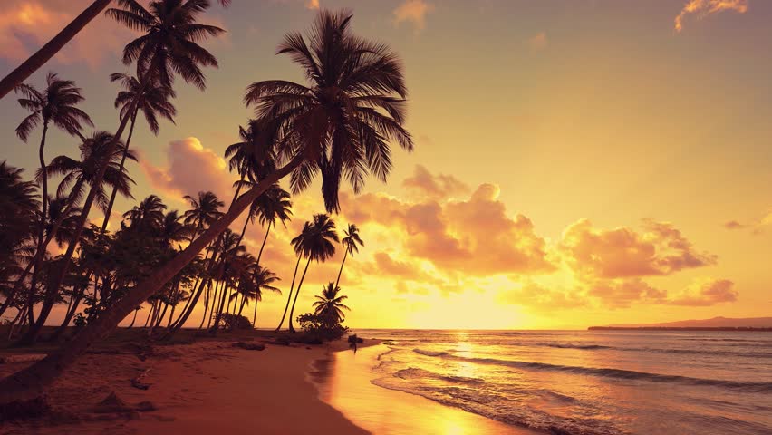 Bright sea yellow tropical sunset on the beach. Waves, sky and yellow sun. Sunset palm background. Evening in Punta Cana. Holidays at a sunny resort. Dominican Republic nature landscape.
