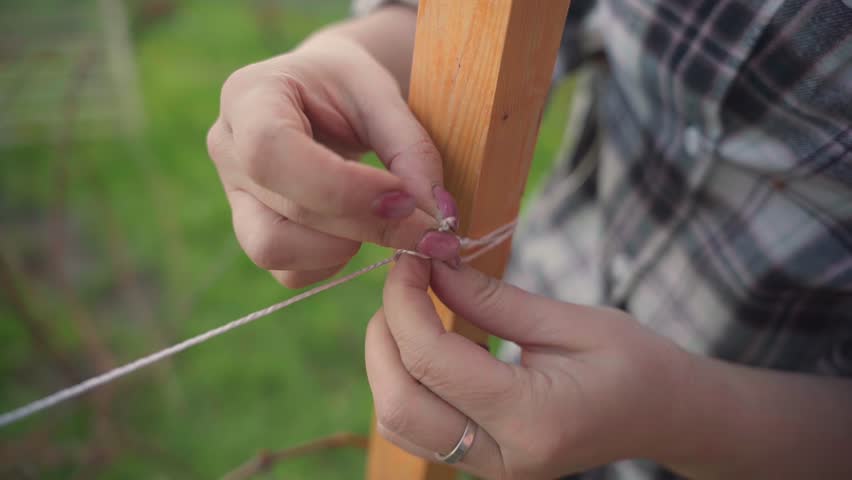 a woman ties ropes around a frame for a grape bush.