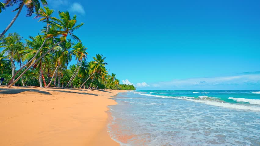 Hawaiian yellow sand beach on Palm Island on a summer morning. Azure water under a high transparent tropical sky. Beautiful bright green palm grove on the Caribbean coast. Cruise.
