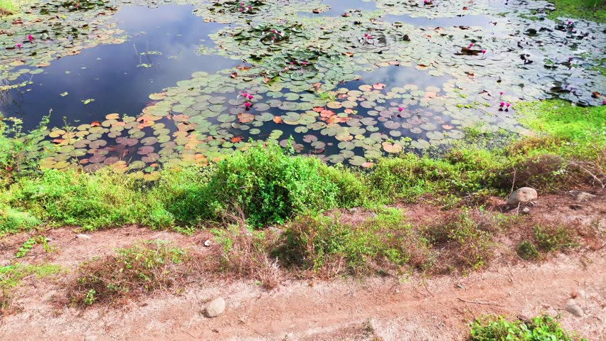 Areal view of the pond dried out in Vietnam