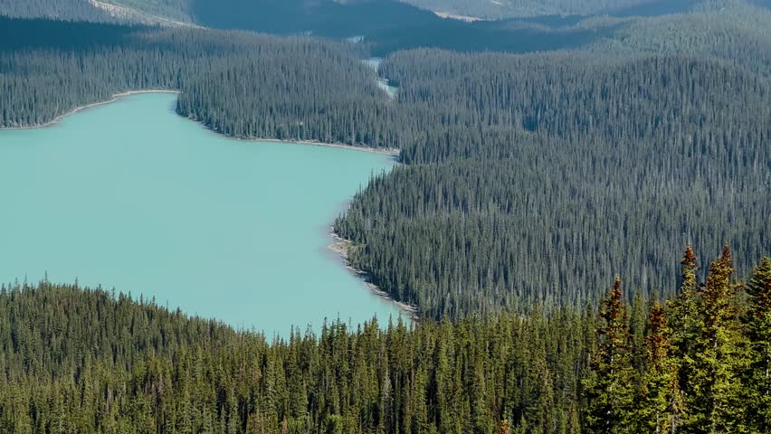 Peyto Lake is a glacial lake located in Alberta Canada. It resembles the shape of a wolf