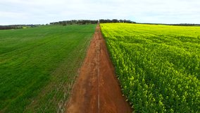 Aerial footage over farmland and canola fields near the farming town of York, east of Perth, Western Australia.