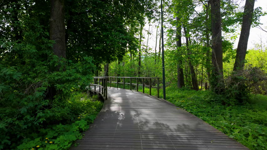 A wooden walkway winding through a lush green forest, surrounded by trees and vegetation, under natural light