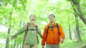 Senior couple hiking in the mountains in early summer
 - Powered by Shutterstock - Get 15% off with code: PIKWIZARD15
