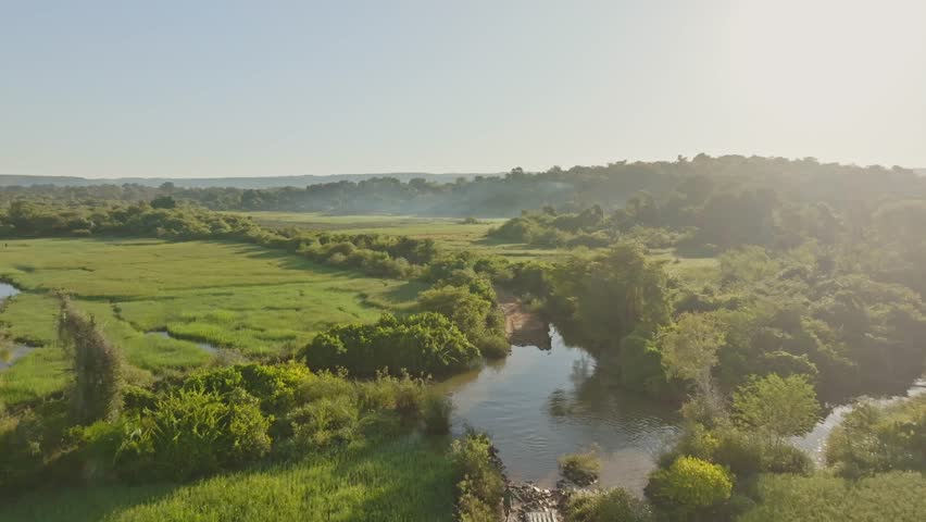 Aerial view lake with of green rice paddy meadow and fields during sunrise. Madagascar, Africa (4K)