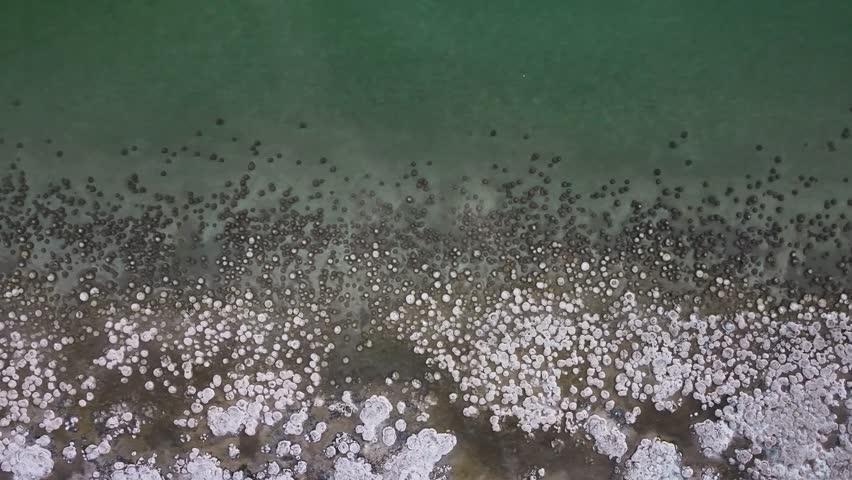 Aerial view of unique thrombolites at Lake Clifton, Western Australia, Australia.