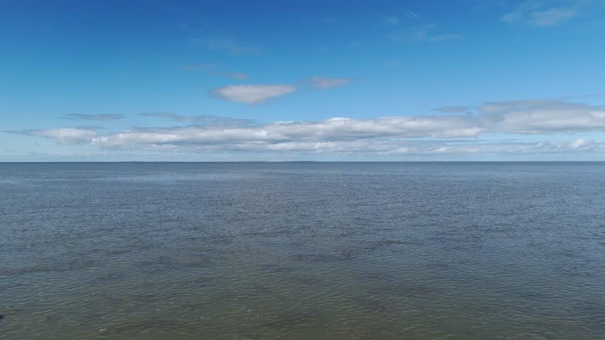 Aerial Encounter: Wader Bird Flying Past Drone Camera at Wadden Sea in Friesland, Netherlands