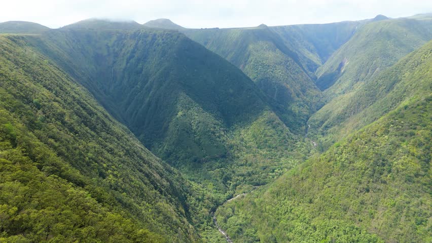 Aerial view of lush green Waipio Valley with majestic mountains and serene valley, Hawaii Island, United States.