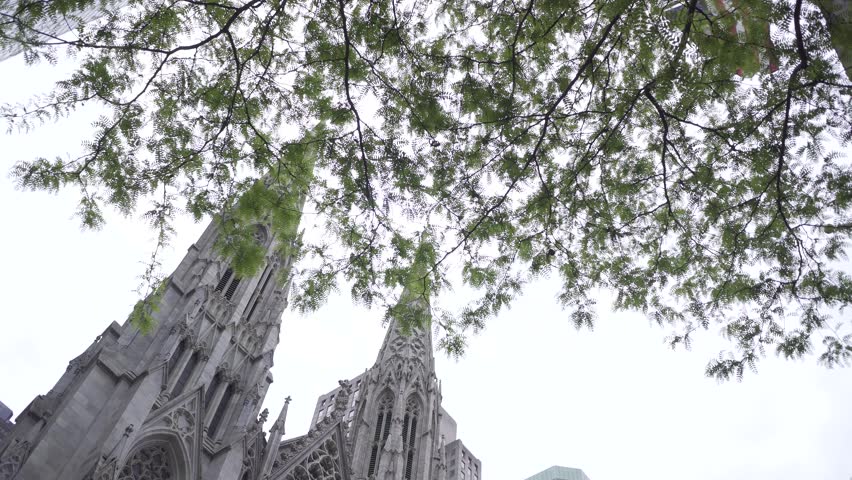 The Cathedral of St. Patrick Neo-Gothic Roman Catholic in Fifth Avenue Manhattan Nyc 