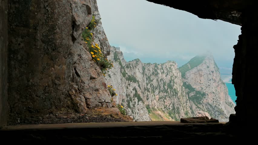 Flora and Fauna in Gibraltar. Plants and birds at the top of the Gibraltar Rock. Viewed from a former WWII bunker
