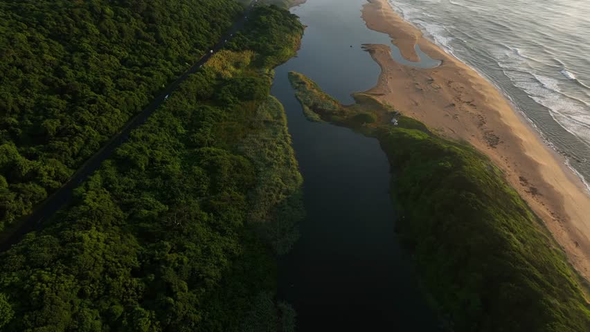 Aerial view of serene beach with lush forest and river, uMhlanga, KwaZulu Natal, South Africa.