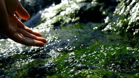 close up hand held shot. Woman pouring flowing fresh water. global water crisis, Tourism and hiking. SLOW MOTION resources, Tiny waterfall river HD 4K - Powered by Shutterstock - Get 15% off with code: PIKWIZARD15