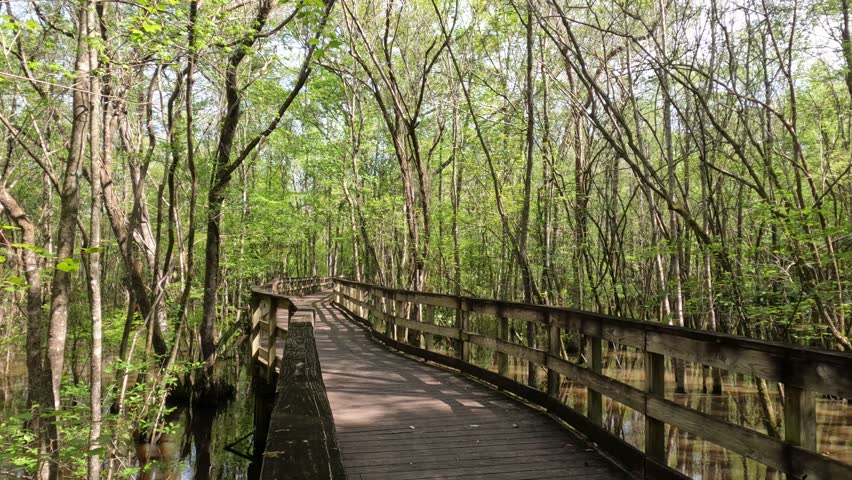 Reed Bingham State Park in Georgia - views around the park include a dam and boardwalk trails