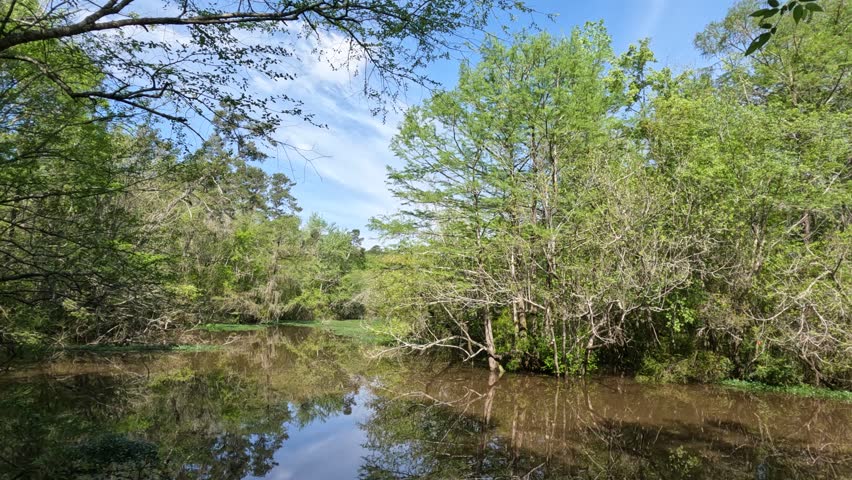 Reed Bingham State Park in Georgia - views around the park include a dam and boardwalk trails