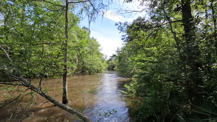 Reed Bingham State Park in Georgia - views around the park include a dam and boardwalk trails