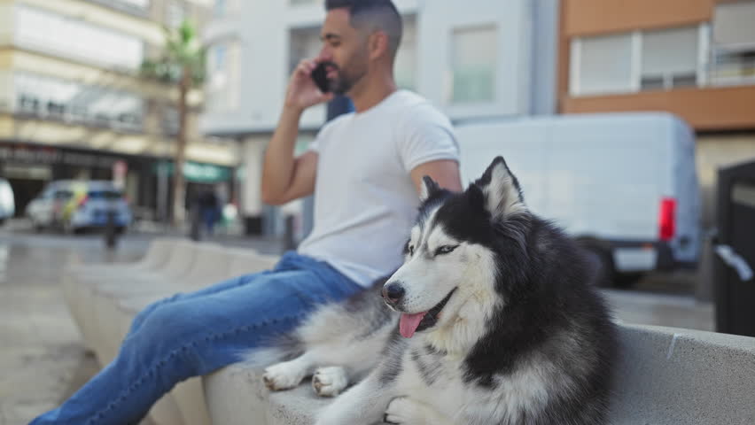 A handsome man talks on the phone beside his husky at a sunny urban park.