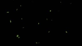 Clover leaves falling in the wind on a black background - Powered by Shutterstock - Get 15% off with code: PIKWIZARD15