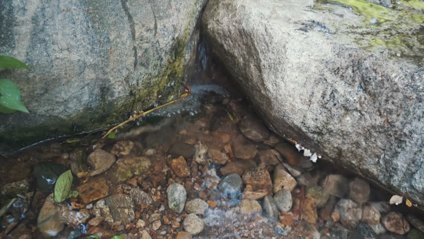 Beautiful stream in the park
