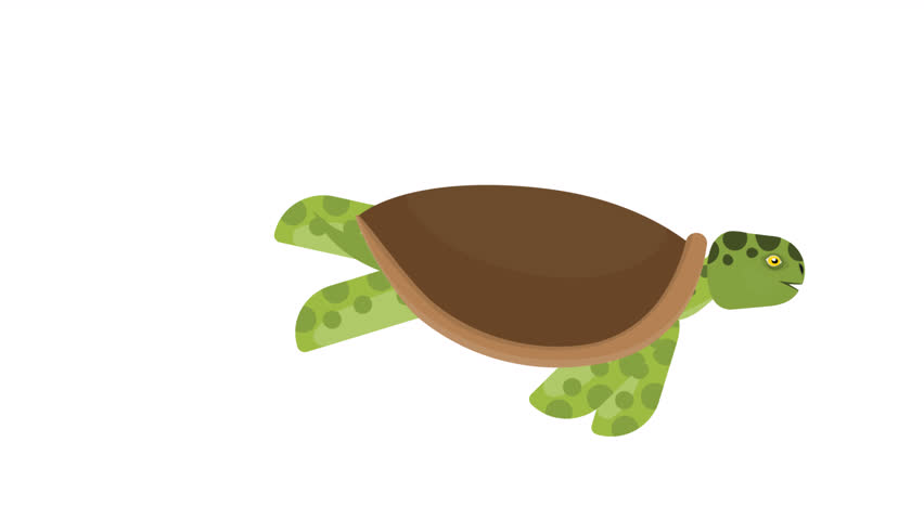 Sea turtle. Animal animation, alpha channel. Cartoon