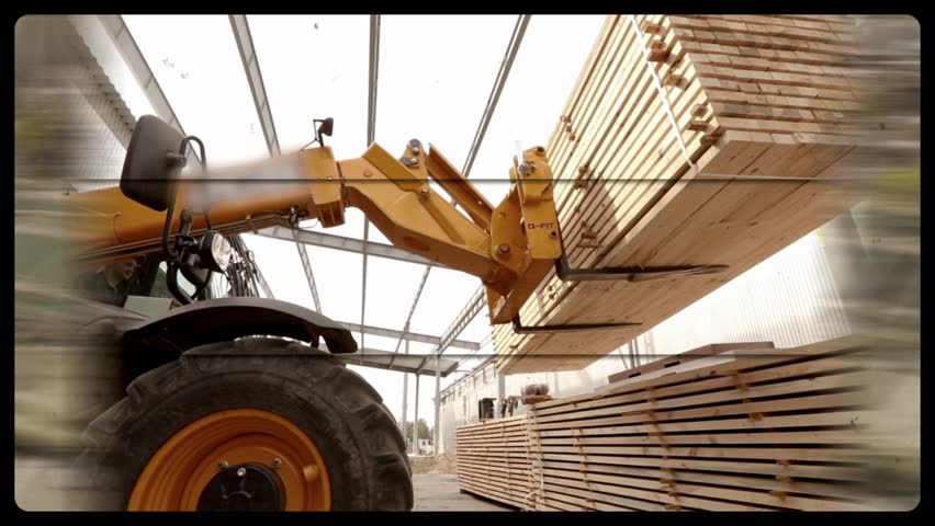 Shutterstock Video
