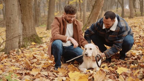 Cheerful gay male family sitting and petting dog in park full of yellow leaves स्टॉक वीडियो