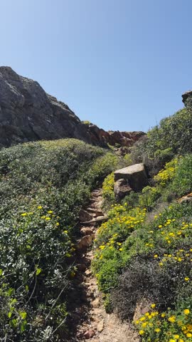 A rocky hill pathway adorned with yellow flowers, leading upwards under a clear blue sky. spain, andalusia 