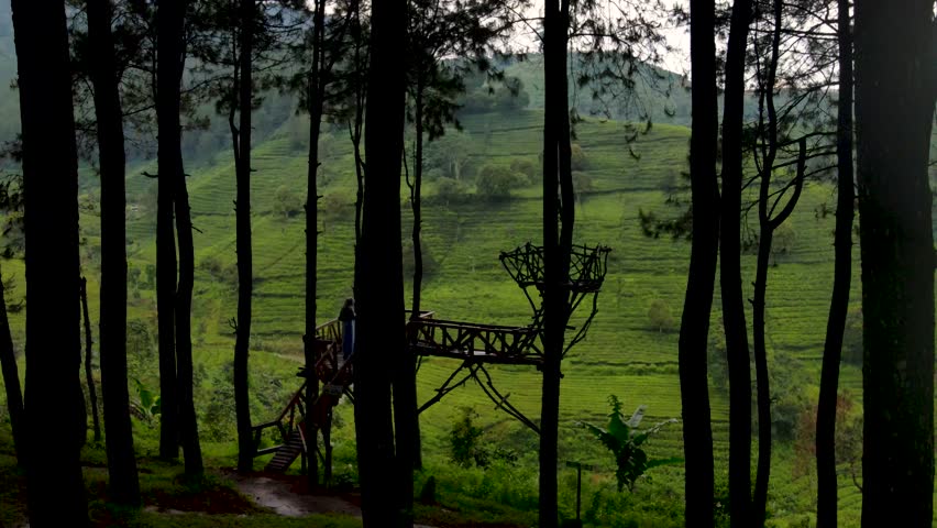 Enjoy the natural scenery accompanied by beautiful women from Bandung