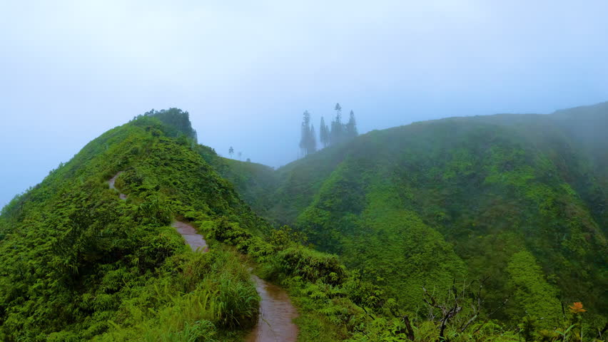 A view of green mountain path along the ridge on a rainy day. Waihee Ridge Trail on Maui island, Hawaii, covered in thick fog with rain falling.