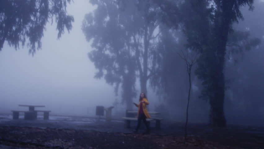 Woman in a yellow coat walking in a park on a foggy day