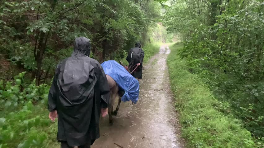 People Hiking With Donkey on a Muddy Road on a Heavy Rainy Day