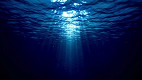 4K Ultra HD Video: Underwater Rays