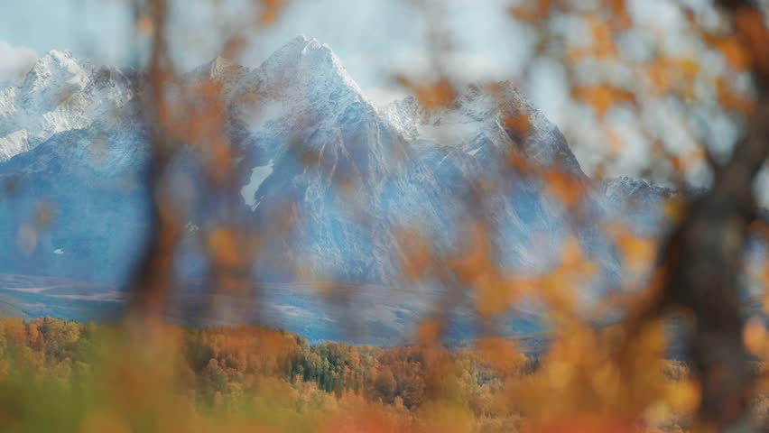 The snow-capped mountain range of Lyngen Alps in northern Norway. Colourful autumn landscape at the foot of the mountains. parallax video.