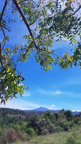 Lush green landscape with overhanging tree branches framing a view of distant Mount Canlaon under a vivid blue sky with a few clouds in Negros Oriental, Philippines