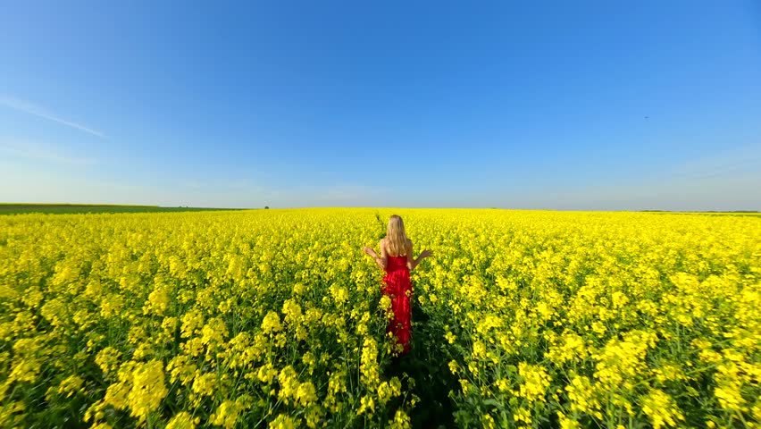 Caucasian woman in red dress walking through scenic yellow rapeseed field in slow motion