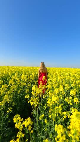Caucasian woman in red dress walking through scenic yellow rapeseed field in slow motion