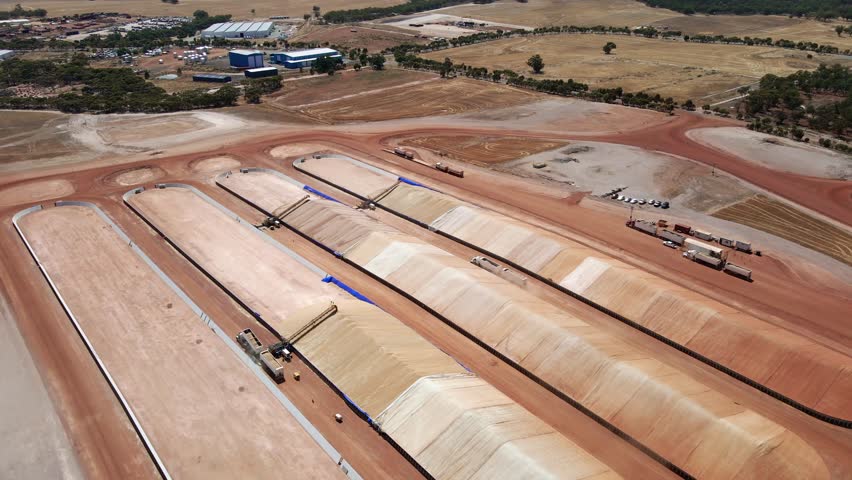 Grain Wheat Barley Storage Transfer Station Processing Plant Trucks Hopper Weigh Station Australia 