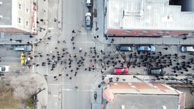 Large crowd gathers for a peaceful protest in downtown Montréal, highlighting banners and flags, on a sunny day, wide shot - Powered by Shutterstock - Get 15% off with code: PIKWIZARD15