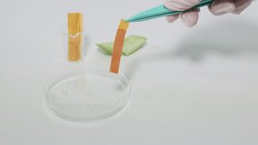 Experiment showing apple juice acidity using litmus paper - Powered by Shutterstock - Get 15% off with code: PIKWIZARD15