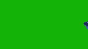 Shark top quality green screen backgrounds 4k, Easy editable green screen video, high quality vector 3D illustration. Top choice green screen background