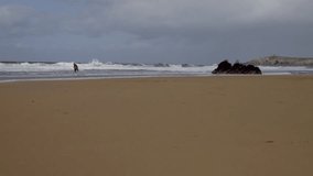 Man walks in wild coast. Wild Quiberon beach. Super Slow motion. Video 4K