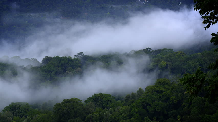 Mountains in clouds at evening in summer. mountain peak with green trees in fog. Beautiful landscape with high mountains, forest, sky. munnar kerala mountain valley and low clouds flying