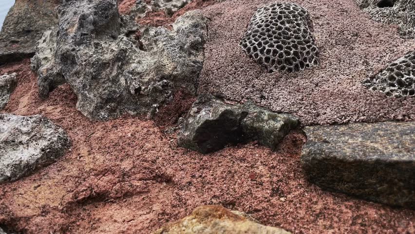 rocks near the sea shore. rocky shore by the ocean